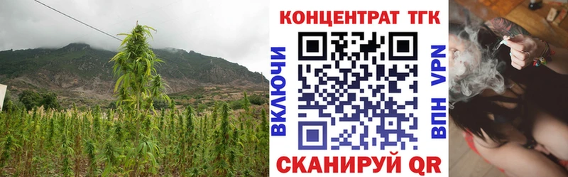 MEGA зеркало  Ульяновск  ТГК концентрат 